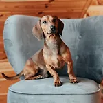 Дом отдыха Horbaczowka *