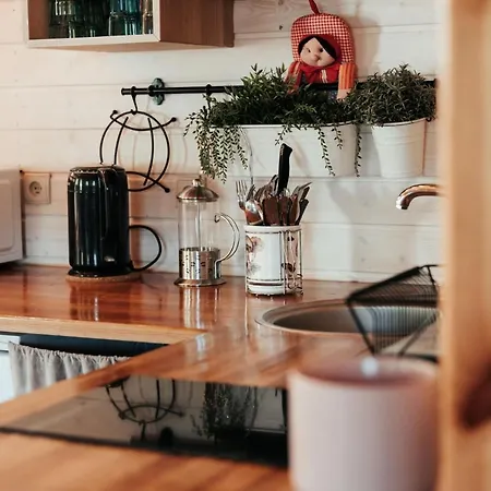 Horbaczowka Czerwonki (Mragowo)